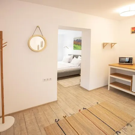 Pensionat Brasha Braşov