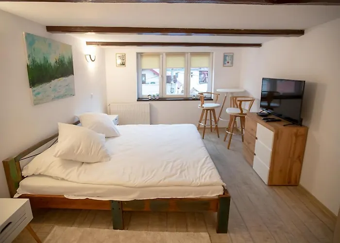 Guest house Brasha Brasov