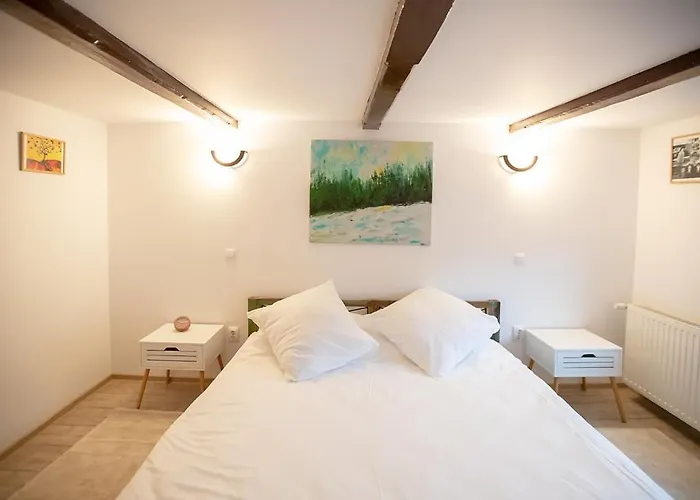 Brasha Guest house Brasov